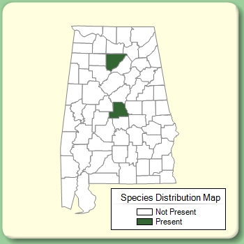 Species Distribution Map