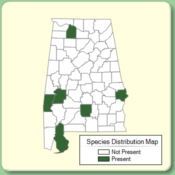 Species Distribution Map