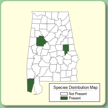 Species Distribution Map