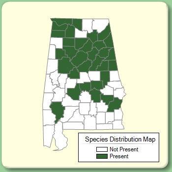 Species Distribution Map