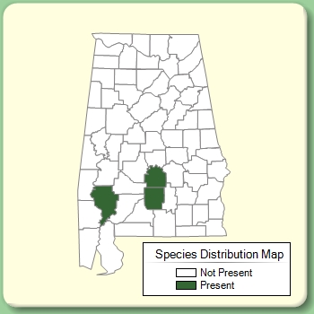 Species Distribution Map