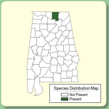 Species Distribution Map