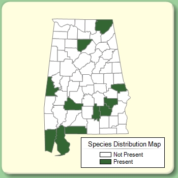 Species Distribution Map