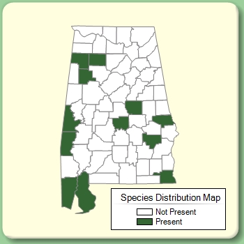 Species Distribution Map