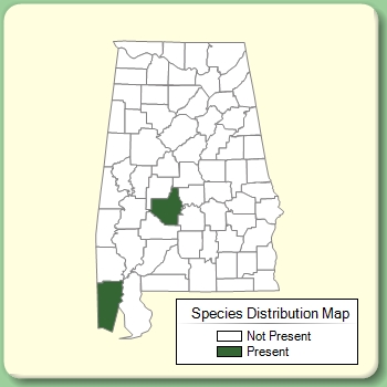 Species Distribution Map