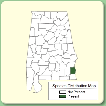 Species Distribution Map