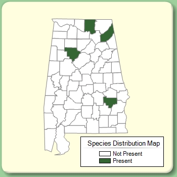 Species Distribution Map