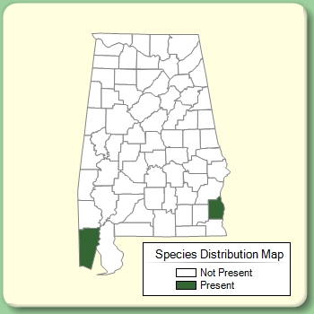 Species Distribution Map