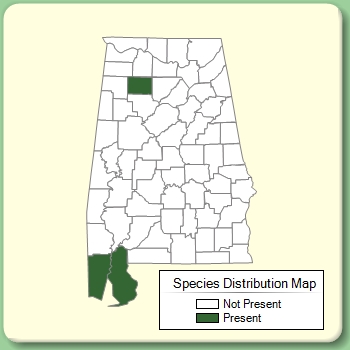 Species Distribution Map