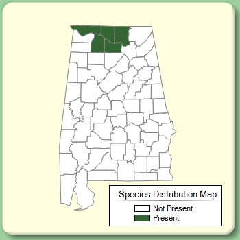 Species Distribution Map