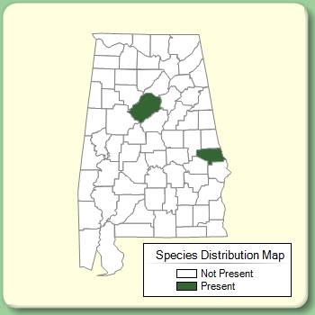 Species Distribution Map