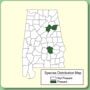 Species Distribution Map