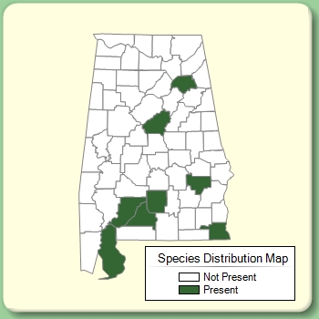 Species Distribution Map