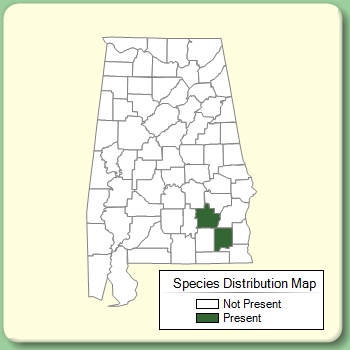 Species Distribution Map