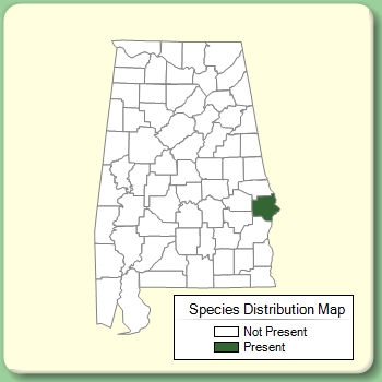 Species Distribution Map