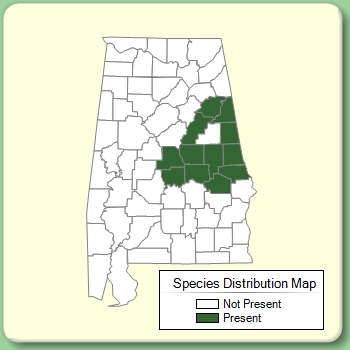 Species Distribution Map