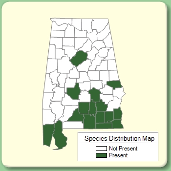 Species Distribution Map