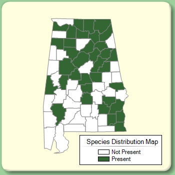 Species Distribution Map