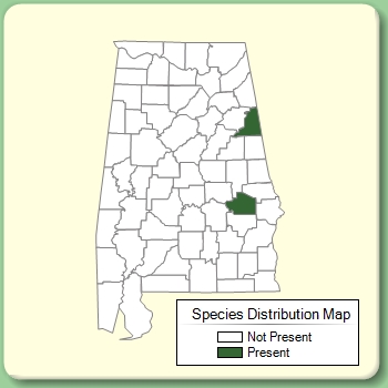 Species Distribution Map