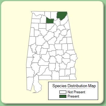 Species Distribution Map