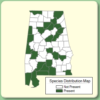 Species Distribution Map