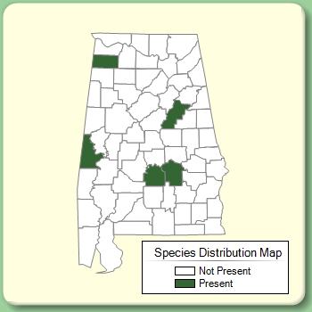 Species Distribution Map