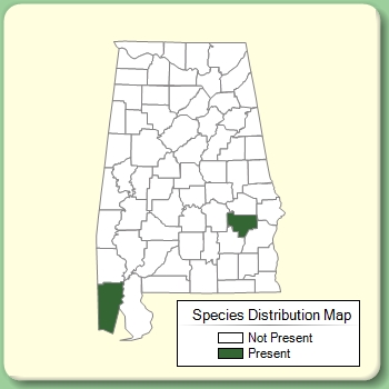 Species Distribution Map