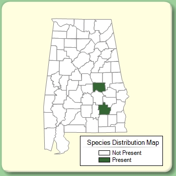 Species Distribution Map