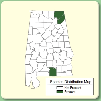 Species Distribution Map