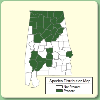 Species Distribution Map