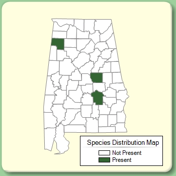 Species Distribution Map