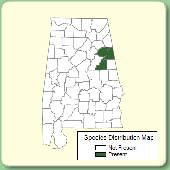 Species Distribution Map