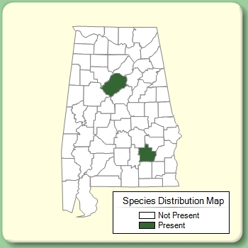 Species Distribution Map