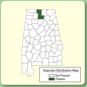 Species Distribution Map