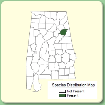 Species Distribution Map