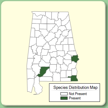 Species Distribution Map