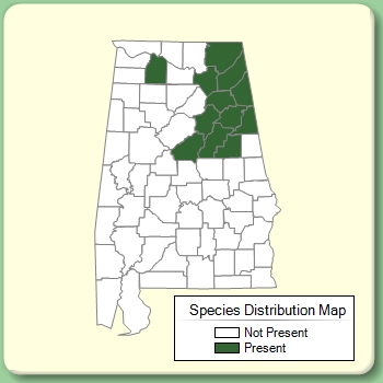 Species Distribution Map