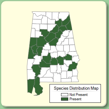 Species Distribution Map