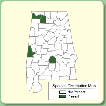 Species Distribution Map