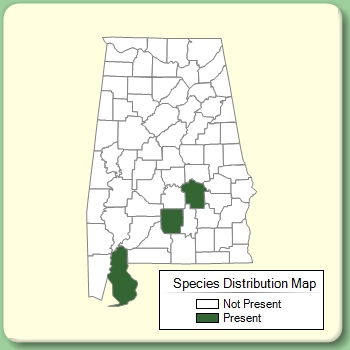 Species Distribution Map