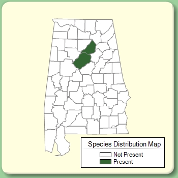 Species Distribution Map