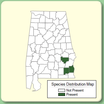 Species Distribution Map