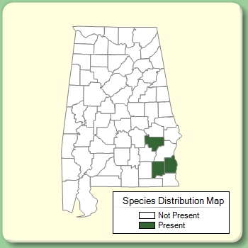 Species Distribution Map