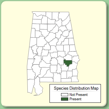 Species Distribution Map