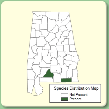 Species Distribution Map