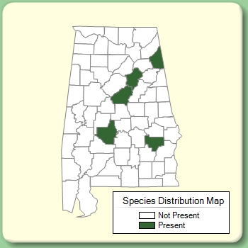 Species Distribution Map