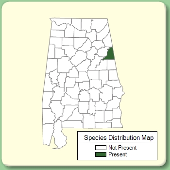 Species Distribution Map