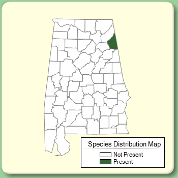 Species Distribution Map