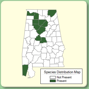 Species Distribution Map