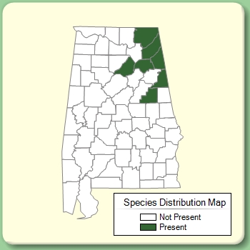 Species Distribution Map